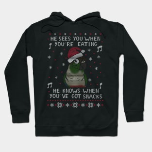 Christmas Snack Green cheeked conure Hoodie